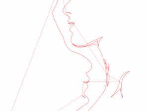 11 DXF File CNC g-code Industrial Laser Cut WOMEN Vinil PANEL Nr0528 Modèle 3D
