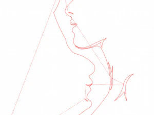 11 DXF File CNC g-code Industrial Laser Cut WOMEN Vinil PANEL Nr0528 3D Model