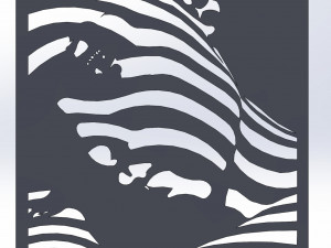 12 DXF File CNC g-code Industrial Laser Cut Vinil WOMEN decorative PANEL Nr0530 3D Model