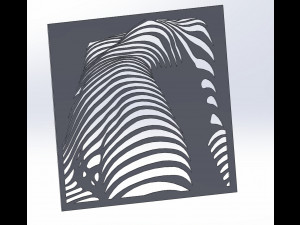 12 DXF File CNC g-code Industrial Laser Cut Vinil WOMEN decorative PANEL Nr0530 3Dモデル
