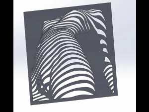 12 DXF File CNC g-code Industrial Laser Cut Vinil WOMEN decorative PANEL Nr0530 3D Model