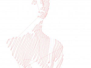 12 DXF File CNC g-code Industrial Laser Cut Vinil WOMEN decorative PANEL Nr0530 3Dモデル