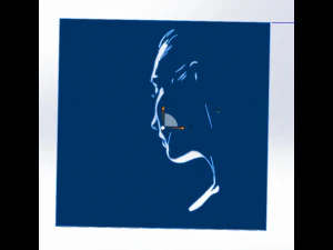 18 File DXF CNC g-code Industrial Laser Cut WOMANS FACE Vector Plasma Nr0542 3D Model