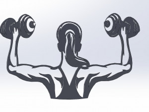 29 DXF File CNC g-code Industrial Laser Cut GYM Nr1 decorative PANEL Nr0600 Model 3D