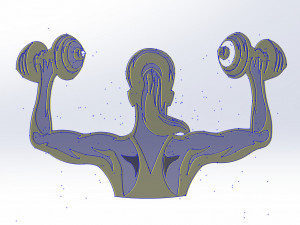 29 DXF File CNC g-code Industrial Laser Cut GYM Nr1 decorative PANEL Nr0600 Model 3D