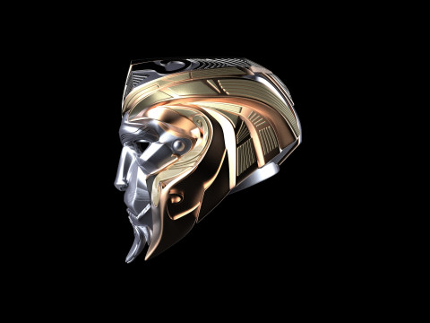 Anduin Wrynn Full Armour 3D Model