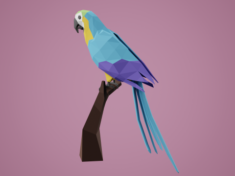Lowpoly stylized PARROT 3D Model