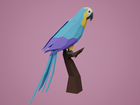 Lowpoly stylized PARROT 3D Model