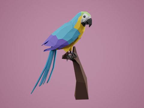 Lowpoly stylized PARROT 3D Model