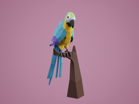 Lowpoly stylized PARROT 3D Model