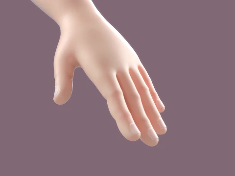 Cartoon Girl Rigged 3D Model
