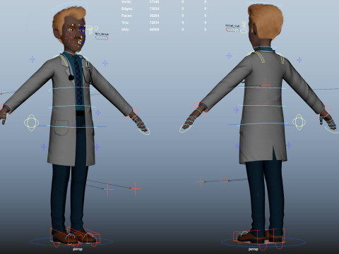 Cartoon Doctor Rigged 3Dモデル