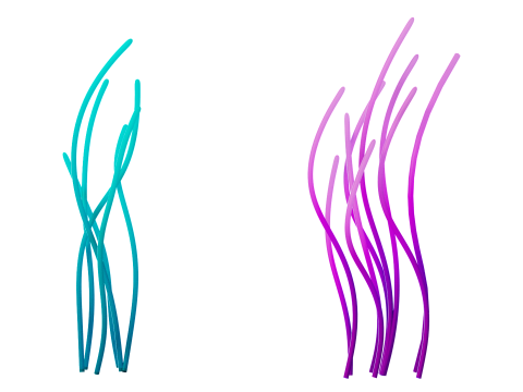 Underwater Plants Collection 3D Model