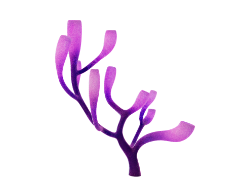 Underwater Plants Collection 3D Model