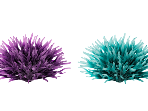 Underwater Plants Collection 3D Model