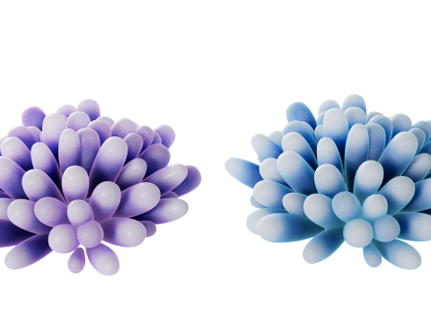 Underwater Plants Collection 3D Model