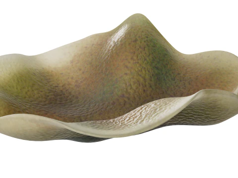 Underwater Plants Collection 3D Model