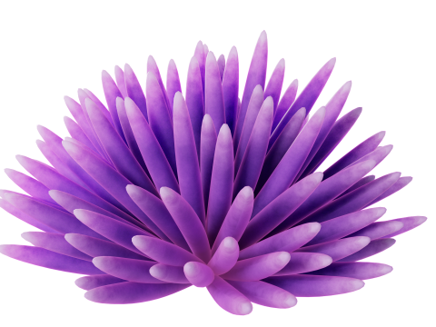 Underwater Plants Collection 3D Model