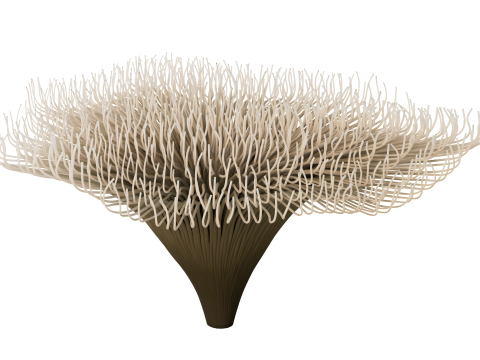 Underwater Plants Collection 3D Model