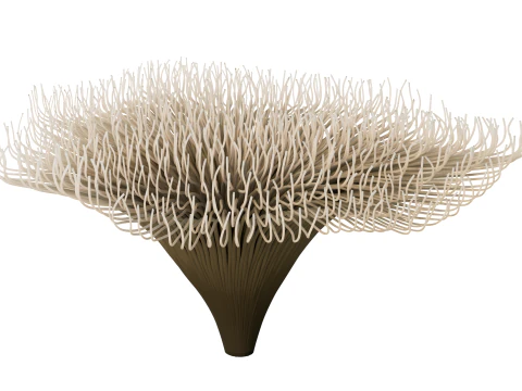 Underwater Plants Collection 3D Model