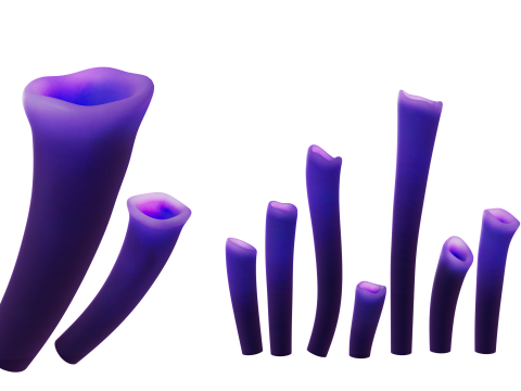 Underwater Plants Collection 3D Model