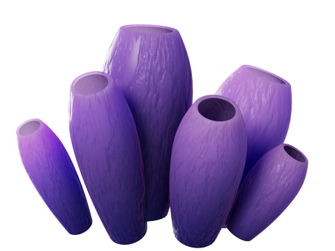 Underwater Plants Collection 3D Model