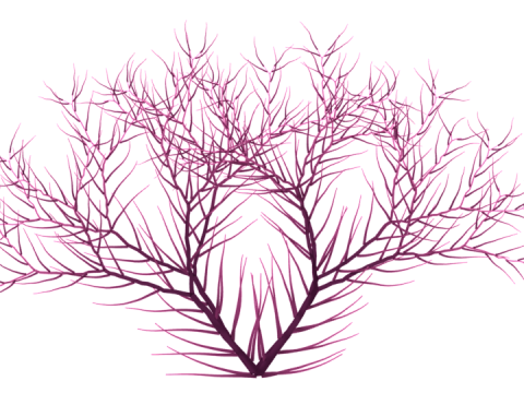 Underwater Plants Collection 3D Model