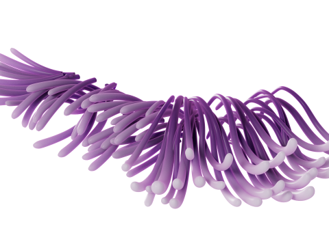 Underwater Plants Collection 3D Model