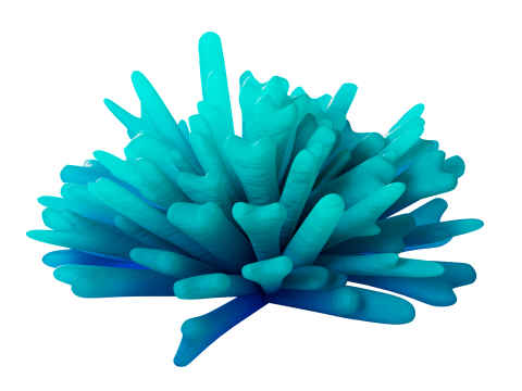 Underwater Plants Collection 3D Model