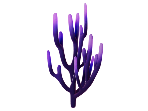 Underwater Plants Collection 3D Model