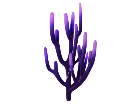 Underwater Plants Collection 3D Model