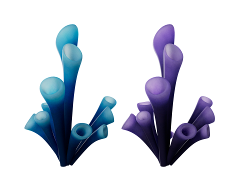 Underwater Plants Collection 3D Model