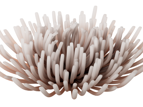 Underwater Plants Collection 3D Model