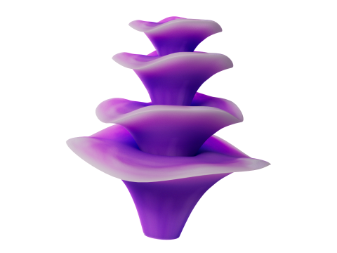 Underwater Plants Collection 3D Model
