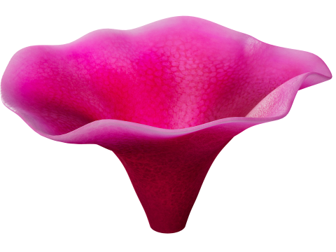Underwater Plants Collection 3D Model