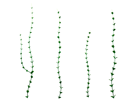 Underwater Plants Collection 3D Model