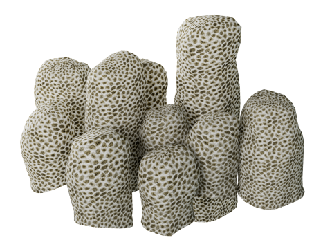 Underwater Plants Collection 3D Model