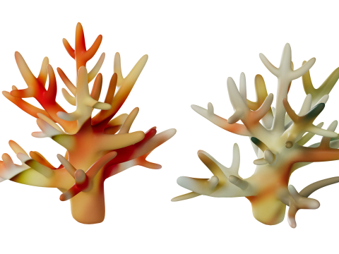 Underwater Plants Collection 3D Model