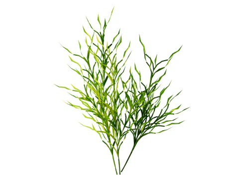 Underwater Plants Collection 3D Model