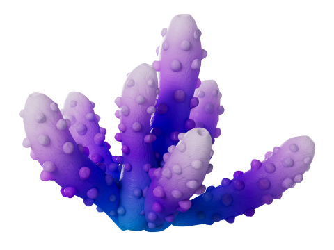 Underwater Plants Collection 3D Model