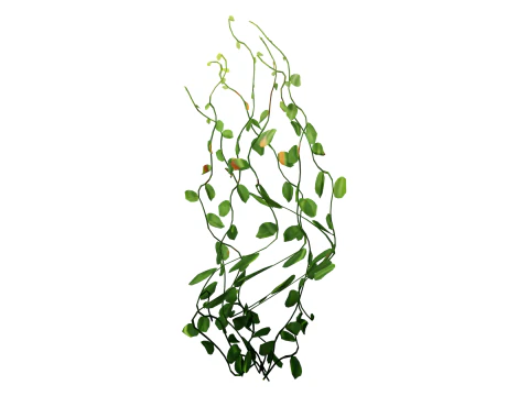 Underwater Plants Collection 3D Model