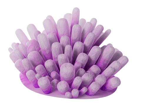Underwater Plants Collection 3D Model