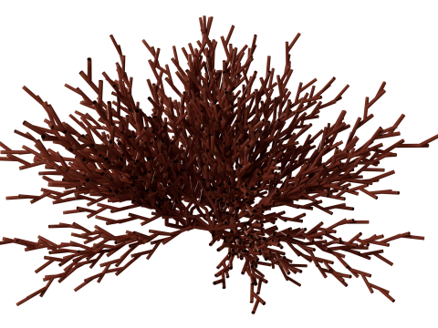 Underwater Plants Collection 3D Model