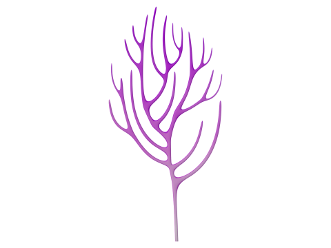 Underwater Plants Collection 3D Model