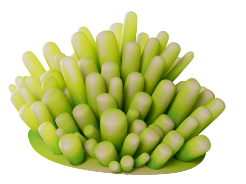 Underwater Plants Collection 3D Model