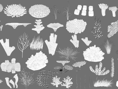 Underwater Plants Collection 3D Model
