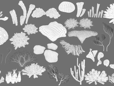 Underwater Plants Collection 3D Model