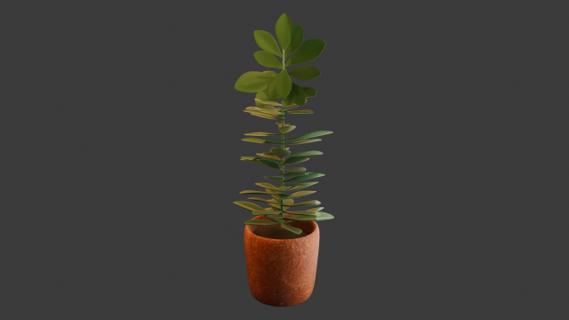 Tall Interior Plant with Terracotta Pot 3D Model .c4d .max .obj .3ds .fbx .stl .blend 