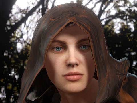 Thief 3D Model