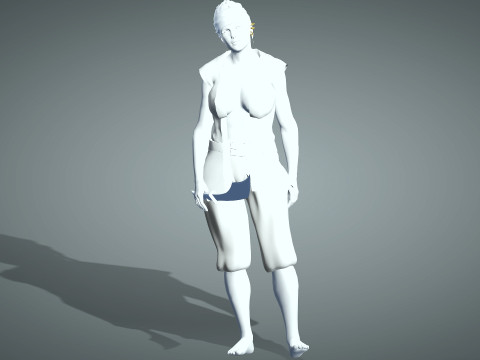 Female Pirate Henchwoman 3D Modell